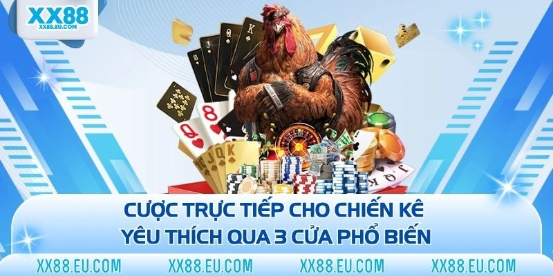 Đá Gà XX88 - Sân Chơi Chọi Kê Trực Tuyến Đẳng Cấp Năm 2026