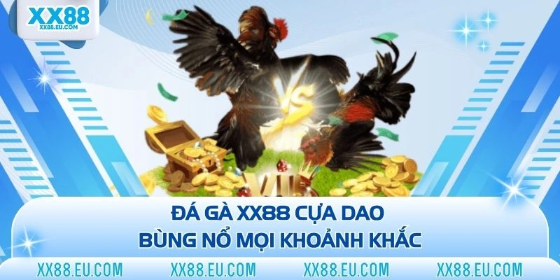 Đá Gà XX88 - Sân Chơi Chọi Kê Trực Tuyến Đẳng Cấp Năm 2026