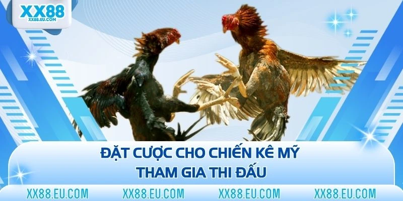 Đá Gà XX88 - Sân Chơi Chọi Kê Trực Tuyến Đẳng Cấp Năm 2026