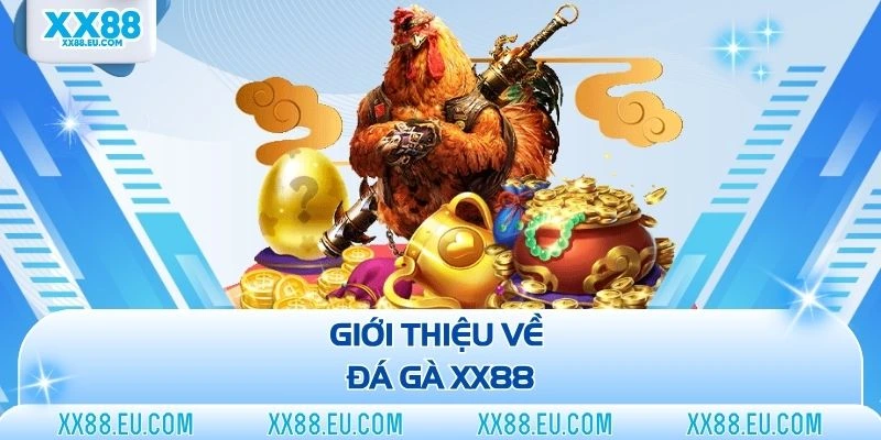 Đá Gà XX88 - Sân Chơi Chọi Kê Trực Tuyến Đẳng Cấp Năm 2026