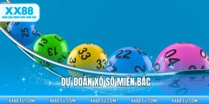 Tin Tức - xx88.eu.com