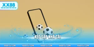 Tin Tức - xx88.eu.com